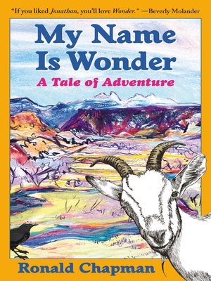 cover image of My Name Is Wonder